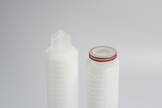 Doppia cartuccia filtrante a membrana PES da 0,22 micron per la filtrazione dell'industria delle bevande alimentari