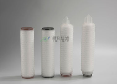 Cartuccia di filtro pieghettata dalla membrana della SEDE POTENZIALE DI ESPLOSIONE, cartuccia di filtro dall'acqua del RO 0.22um 10&quot;