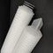 0.1 - cartuccia di filtro pieghettata pp da serie 20um per il filtro da sicurezza di trattamento delle acque del RO