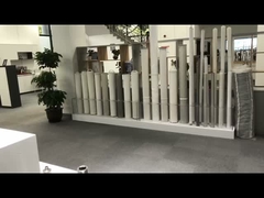 Video introduzione della società