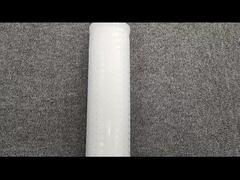 Cartuccia filtrante a membrana compatibile con acido 5 pollici 10 pollici 20 pollici