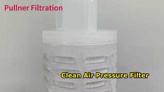 Cartuccia filtrante pieghettata in PTFE da 30 pollici per la pressione dell'aria