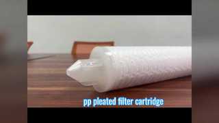 Cartuccia filtrante pieghettata da 30 pollici in PP