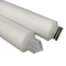 Tasso di flusso 1-1,2 m3/h Cartuccia di filtro plisata in poliestere per applicazioni pesanti