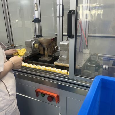 N/S Serie Multi-Volume Small Flow Capsule Filter con NPT Swagelock Port e cartuccia interna personalizzabile