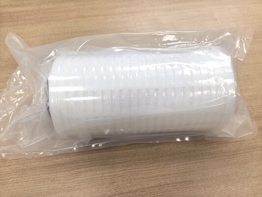 Cartuccia di filtro in polifluoro della serie PLPF con membrana idrofila in PTFE per resistenza alla corrosione chimica e bassa precipitazione
