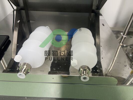 Capsula Filtrante Elettronica di Piccolo Flusso a Bassa Estraibilità per Microelettronica