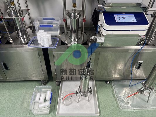 Capsula Filtrante Elettronica di Piccolo Flusso a Bassa Estraibilità per Microelettronica