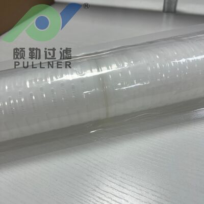 Cartuccia di filtro a membrana PES ad alto flusso da 20' con tenuta di ritenzione di 0,05um per filtrazione microelettronica